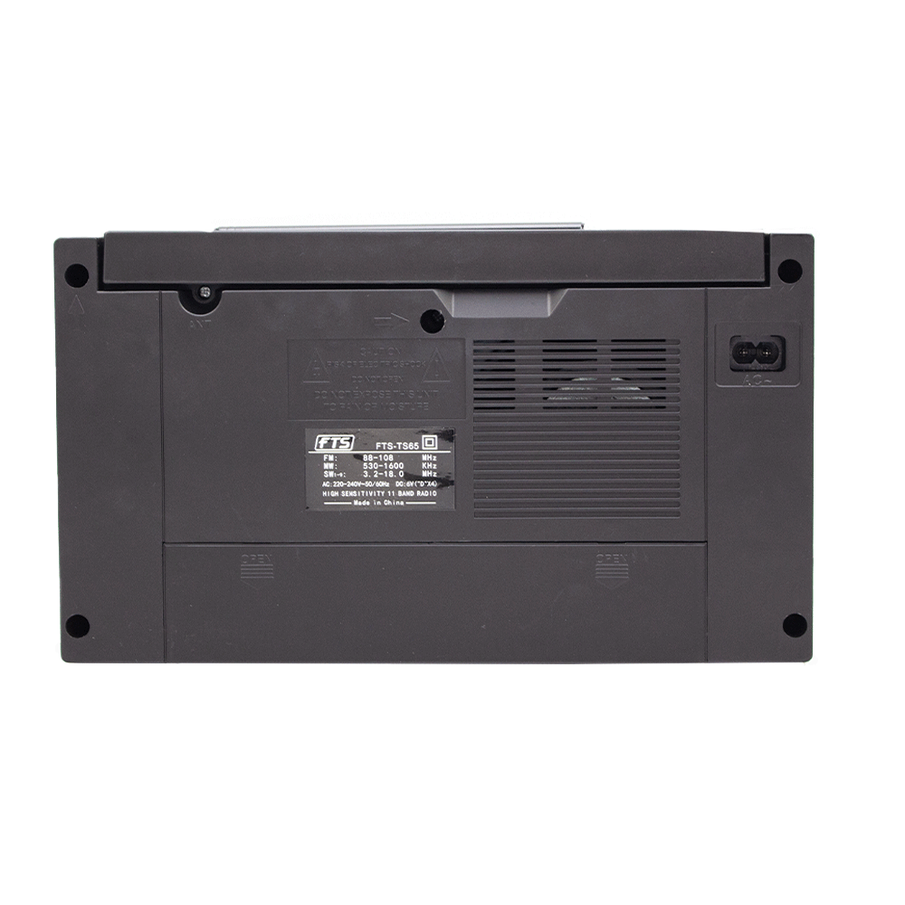 FTS GOGO PORTABLE RADIO (FTS-TS65)