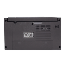 FTS GOGO PORTABLE RADIO (FTS-TS65)