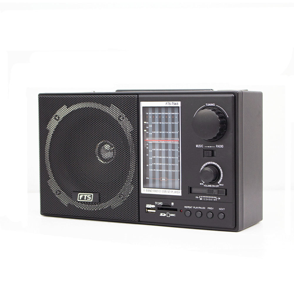 FTS GOGO PORTABLE RADIO (FTS-TS65)