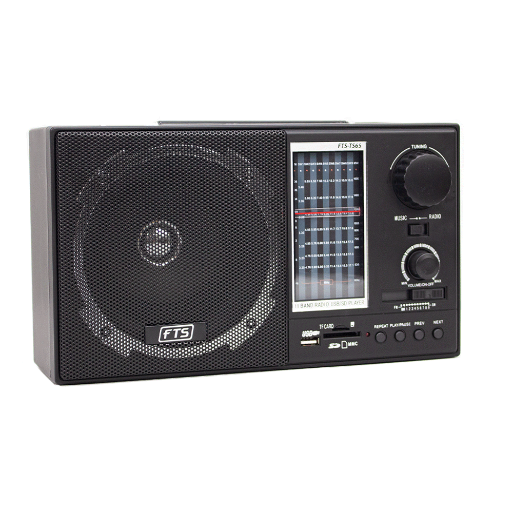 FTS GOGO PORTABLE RADIO (FTS-TS65)