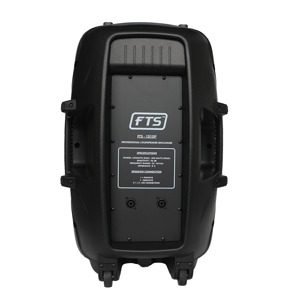 FTS 15" Plastic Moulded 250W Speaker FTS 1515P